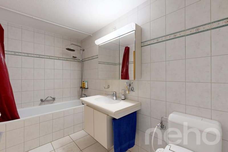 5.5-Zimmer-Reiheneckhaus mit Einliegerwohnung in St. Gallen (7)