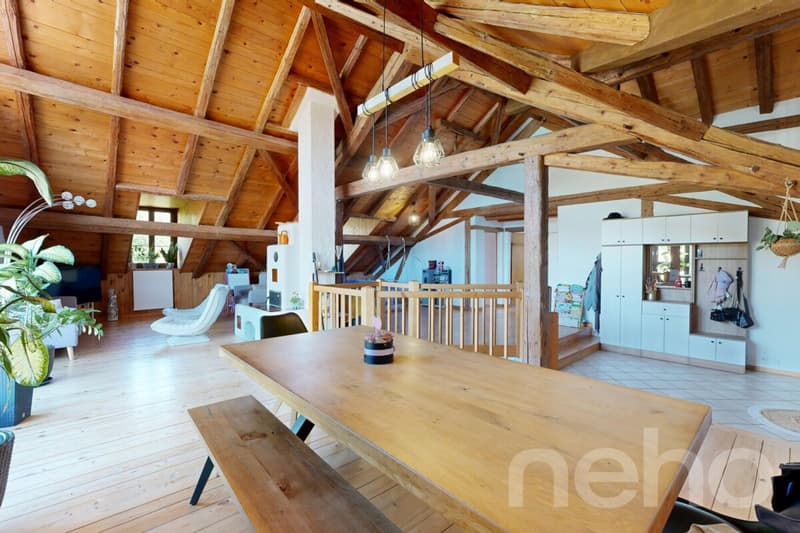 Maison de village de 1850 au cachet préservé, atelier de 185 m² (3)