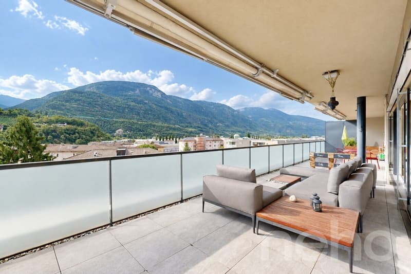 Superbe 4.5 pièces au dernier étage avec vaste terrasse plein Sud (3)