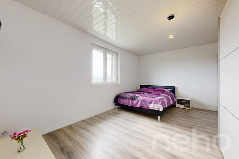 Magnifique maison familiale de 215 m² dans un cadre verdoyant à Bonfol (8)