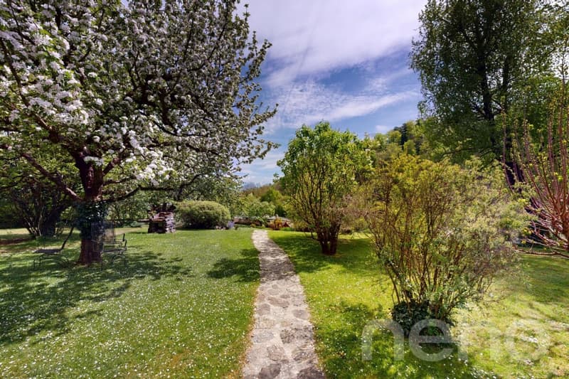 Une demeure de caractère dans un écrin de verdure (7)