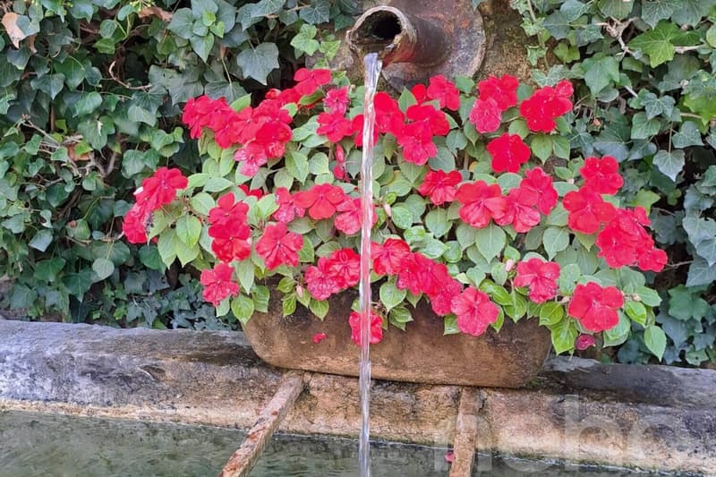 Une demeure de caractère dans un écrin de verdure (5)