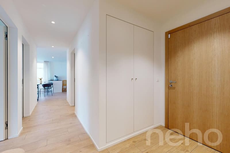 Appartement 4.5 pces, terrasse 36m2 au bord du lac (2)