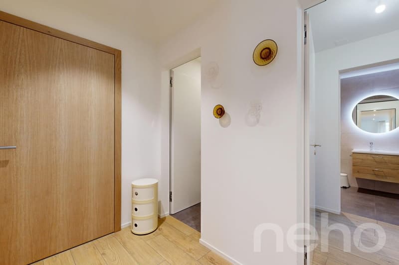 Appartement 4.5 pces, terrasse 36m2 au bord du lac (8)