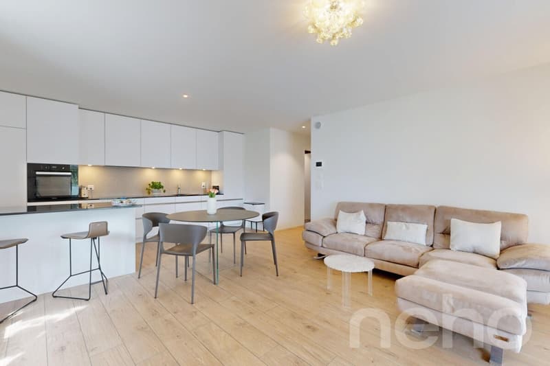 Appartement 4.5 pces, terrasse 36m2 au bord du lac (3)