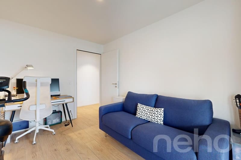 Appartement 4.5 pces, terrasse 36m2 au bord du lac (5)