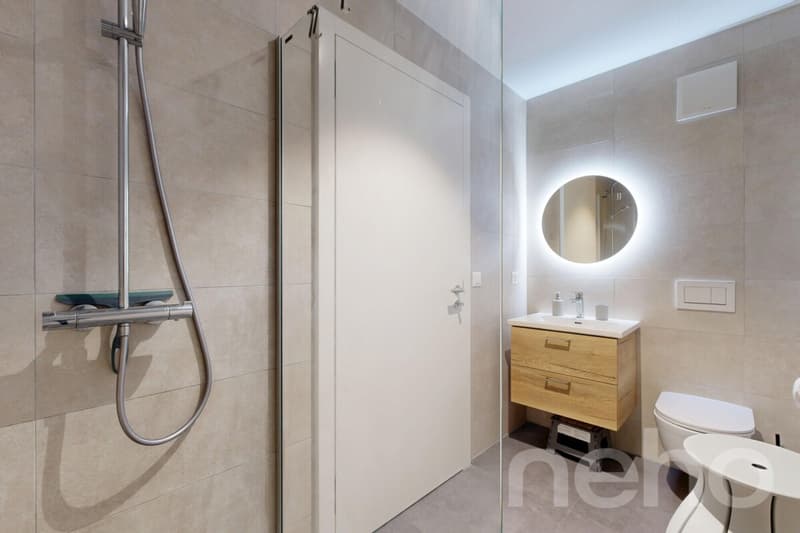 Appartement 4.5 pces, terrasse 36m2 au bord du lac (9)