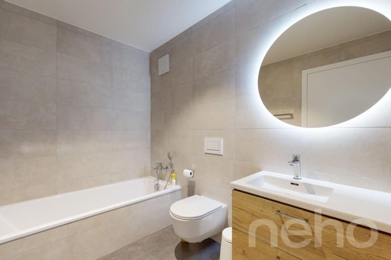 Appartement 4.5 pces, terrasse 36m2 au bord du lac (10)