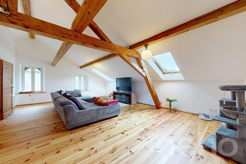 Martigny-Combe : Grande maison villageoise de 2 appartements avec vue (1)