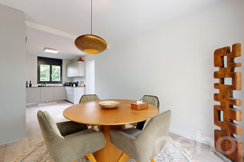 Prestigieuse villa familiale avec vaste jardin à Vandoeuvres (3)
