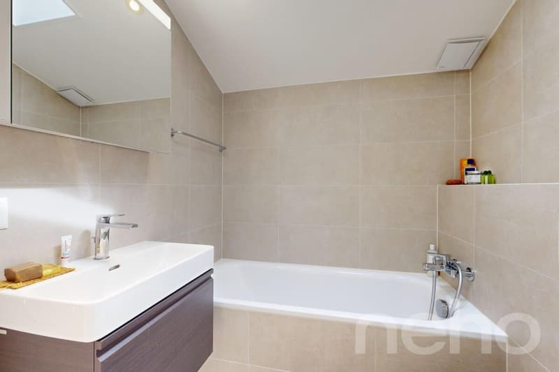 Prestigieuse villa familiale avec vaste jardin à Vandoeuvres (11)