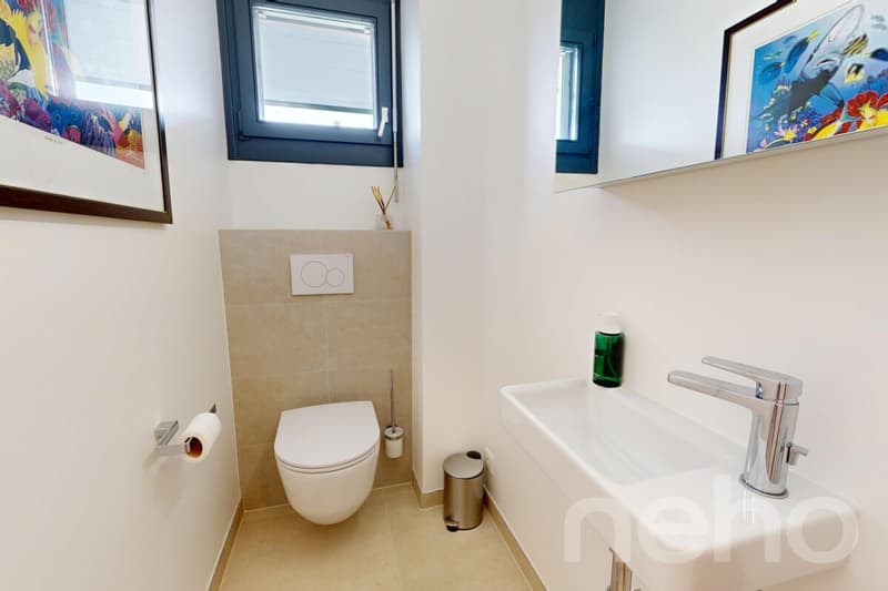 Prestigieuse villa familiale avec vaste jardin à Vandoeuvres (12)