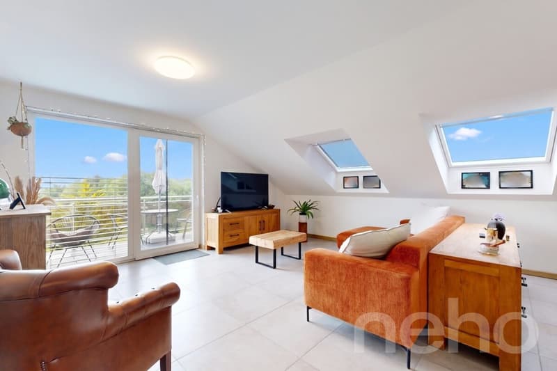 Attique contemporain traversant avec grand balcon et vue dégagée (1)