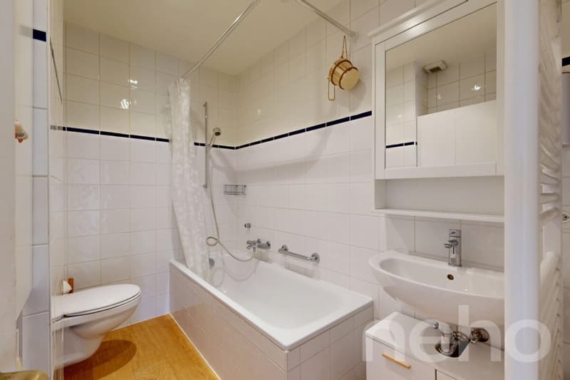 Charmant appartement de caractère à Chêne-Bourg (8)