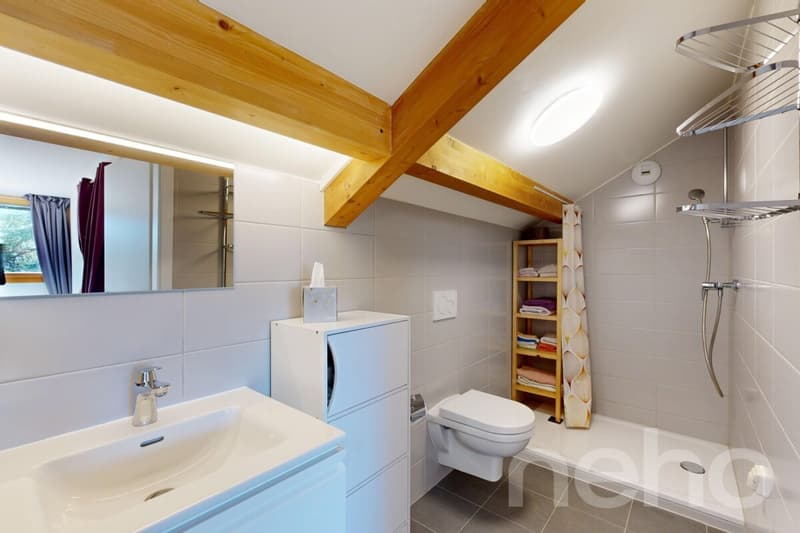 Maison mitoyenne familiale à Bernex avec jardin et beaux volumes (12)