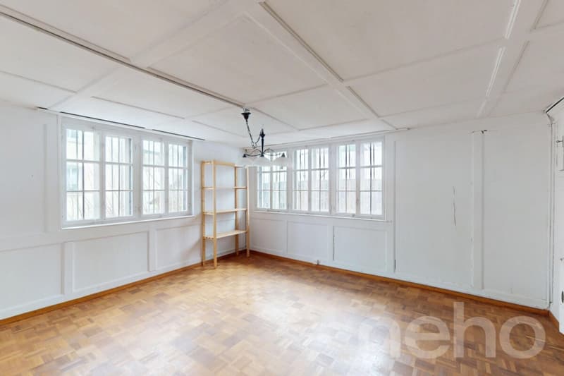 Denkmalgeschütztes 8-Zimmer Doppeleinfamilienhaus an zentraler Lage (4)