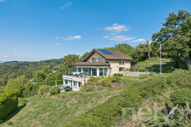 Magnifique villa individuelle avec vue imprenable sur le lac à Belmont (1)