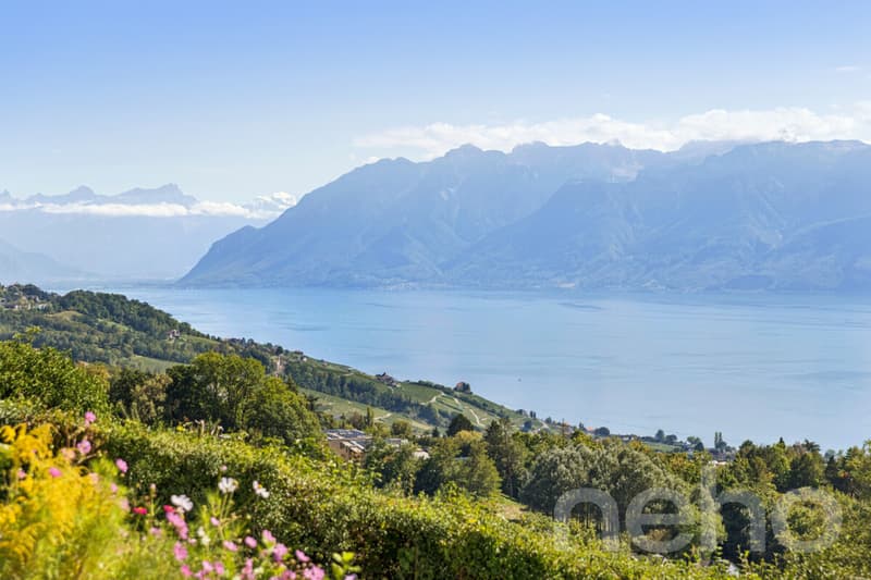 Magnifique villa individuelle avec vue imprenable sur le lac à Belmont (2)
