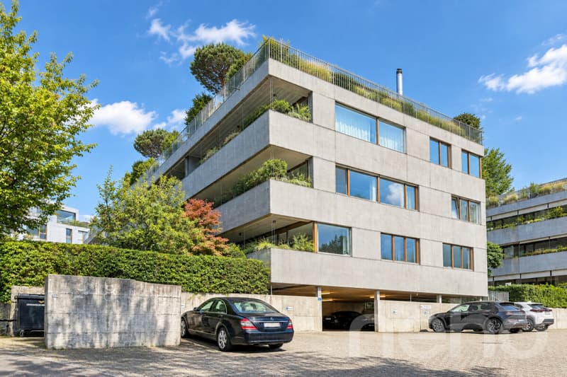 Stilvolle 3.5-Zimmer-Loftwohnung in Richterswil (5)