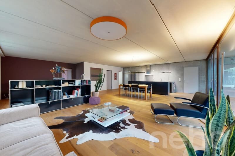 Stilvolle 3.5-Zimmer-Loftwohnung in Richterswil (1)