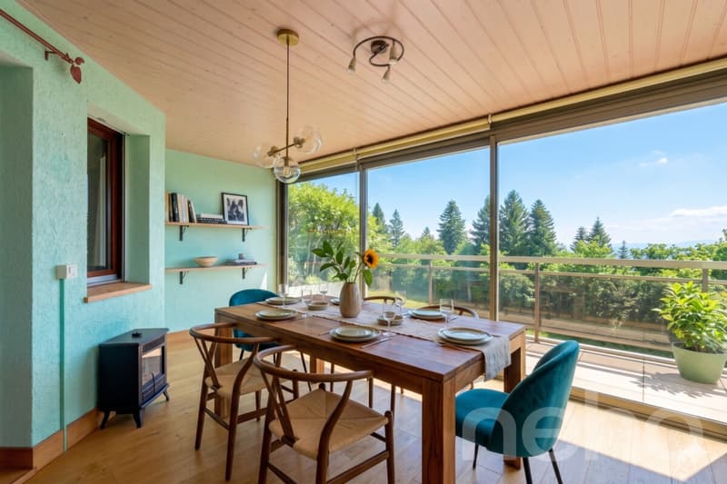 Appartement avec panorama sur le lac et les Alpes, proche du centre (2)