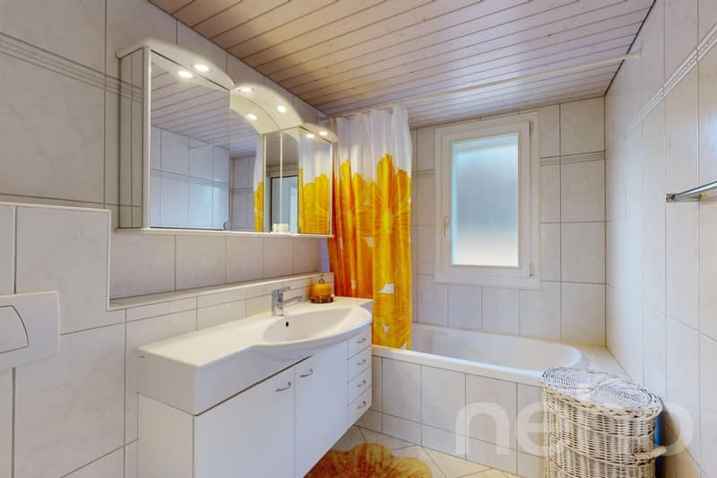 Mehrfamilienhaus mit vielseitigem Nutzungspotenzial (8)