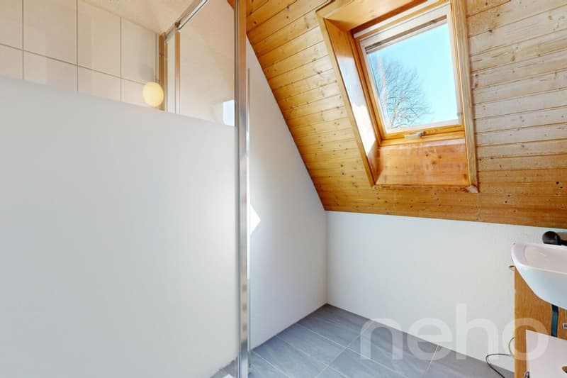 Grande demeure familiale de 2 appartements: 6,5 pièces + 3 pièces (7)