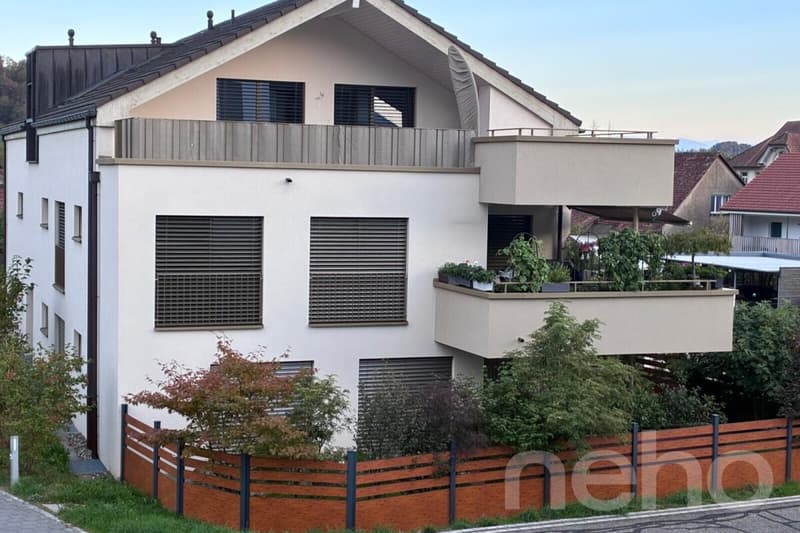 Exkl. 5.5-Attikawohnung 171 m2, Terrasse 50 m2 und Sauna von Klafs (3)