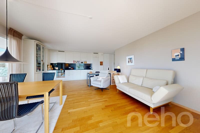 Rare appartement 2.5 pièces avec vue panoramique (3)