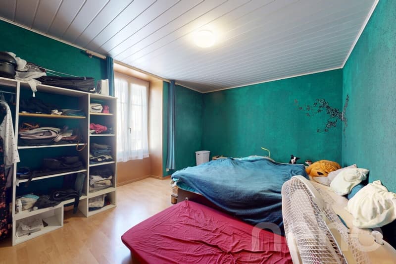 Immeuble unique à rénover - Propriété lumineuse aux volumes généreux (9)