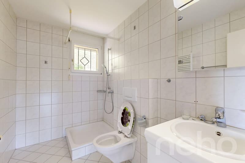 4.5 Zimmer-Maisonettewohnung in Brittnau (9)