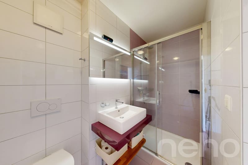Appartement de 4.5 pièces au dernier étage avec vue sur les montagnes (7)