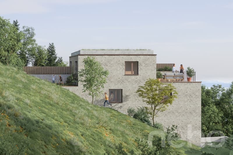 Villa mitoyenne de 5,5 pièces avec espaces extérieurs généreux (1)