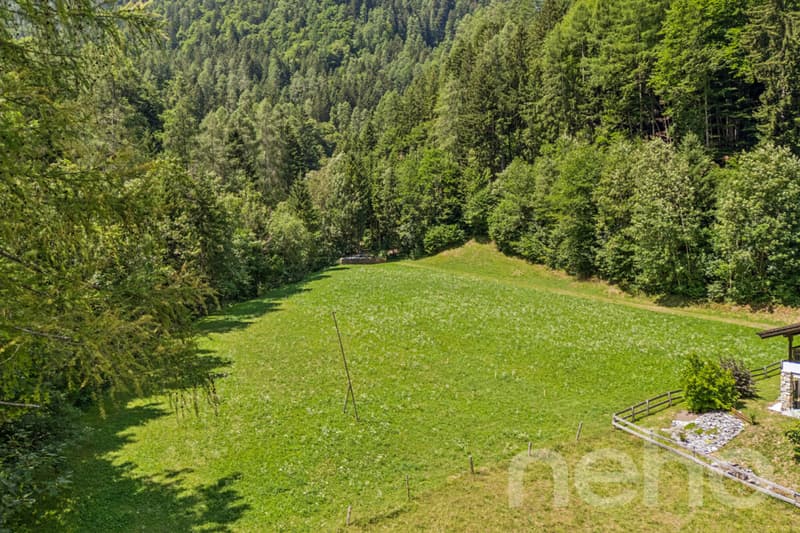 Grosszügiges Bauland mit Projektstudie an naturnaher Lage in Vättis (1)