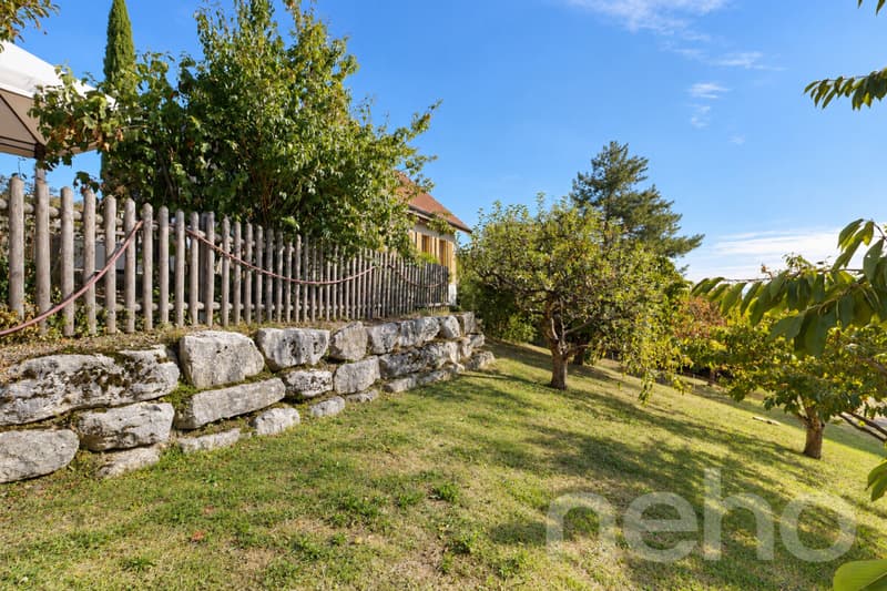 Maison individuelle avec grand jardin et vue dégagée proche d'Yverdon (12)