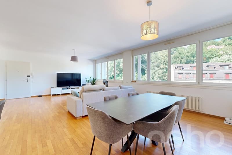 Appartement familial lumineux à deux pas de toutes les commodités (1)