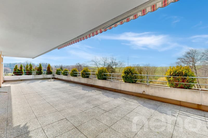 Grosszügige 5.5-Zimmer Terrassenwohnung in Düdingen (1)