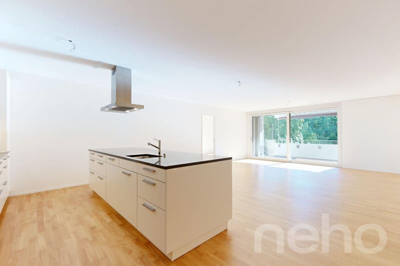 Lichtdurchflutete 3.5-Zimmer-Wohnung in Zürich (1)
