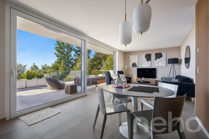 Appartement 3,5 pièces vue sur lac ? 80 m² ? Plein sud, 3ème étage (3)
