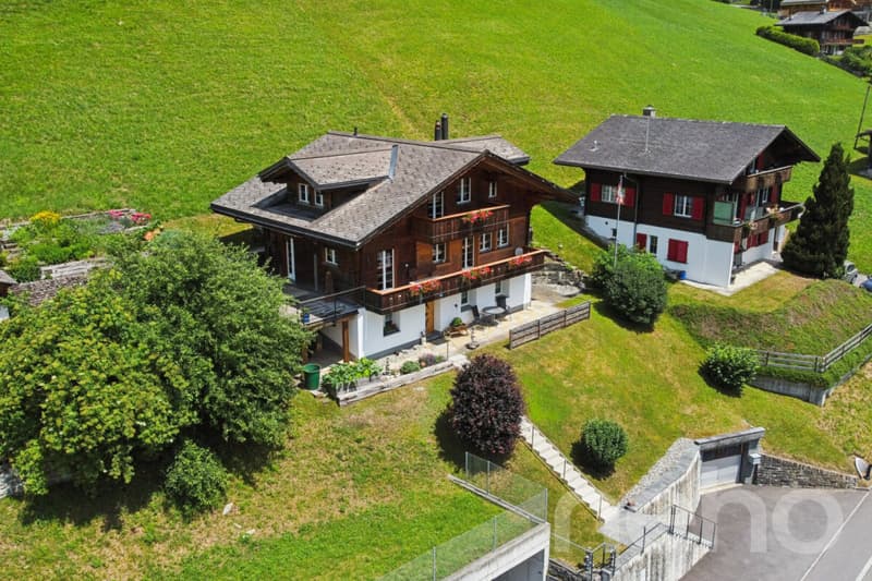 Familiäres Wohnen mit Einliegerwohnung und Bergpanorama (1)