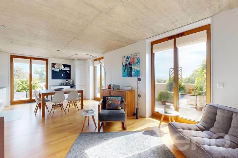 Appartement THPE en attique avec terrasse de 70 m² (1)