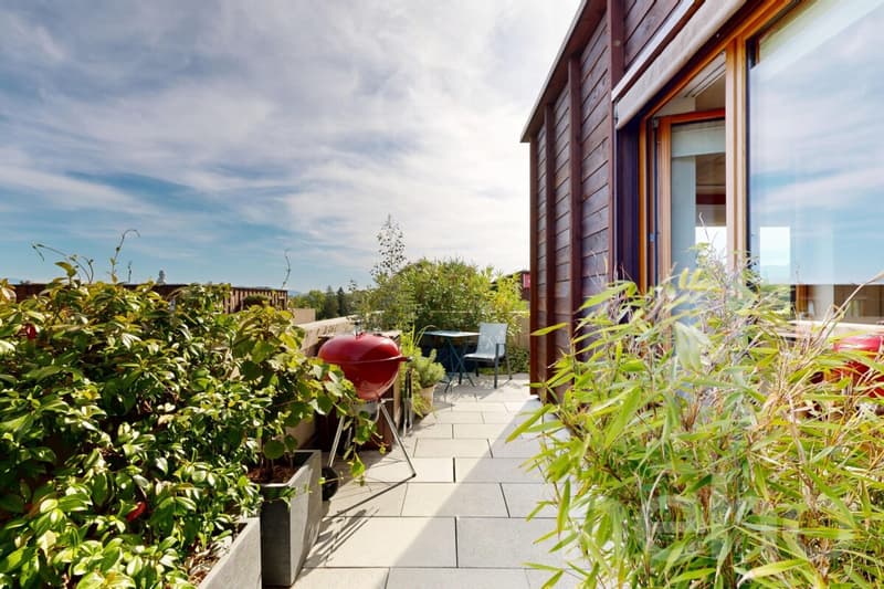 Appartement THPE en attique avec terrasse de 70 m² (9)