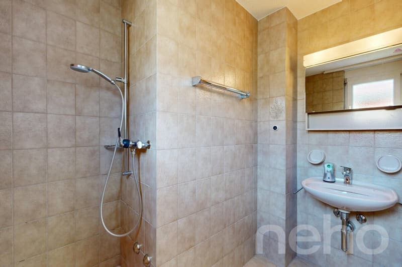 Naturnahe 3.5-Zimmer-Maisonettewohnung in Dübendorf (7)