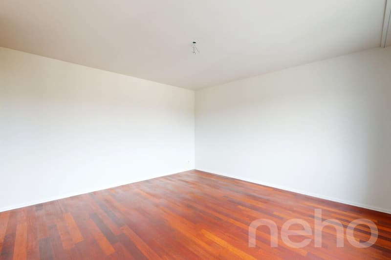 Licht, Raum & Wohnkomfort ? grosszügige 4.5-Zimmer-Wohnung (12)