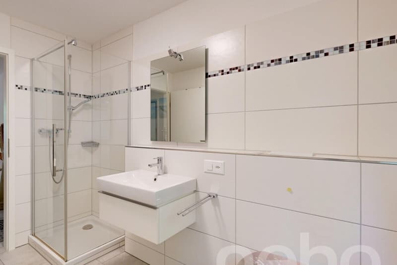 Modernes Einfamilienhaus mit flexiblem Grundriss (10)
