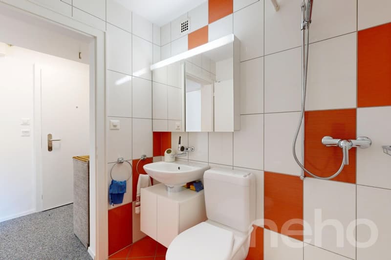 Ihr Rückzugsort in den Bergen - renoviert und bezugsbereit (8)