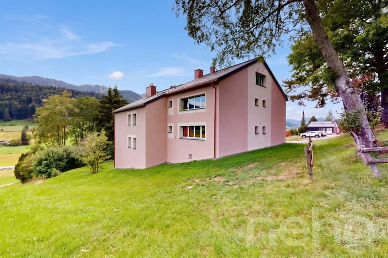 Ihr Rückzugsort in den Bergen - renoviert und bezugsbereit (2)