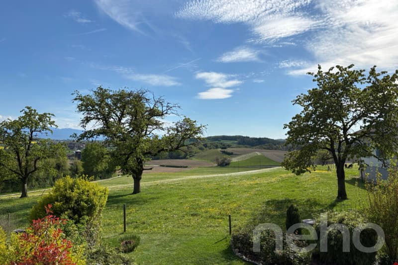 Appartement de 3.5 pièces avec vue dégagée à Gollion (10)