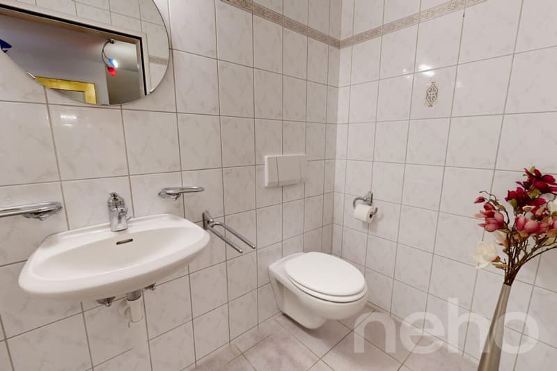 Gepflegtes 6,5-Zimmer-Reihenmittelhaus mit 2 Tiefgaragenplätzen (11)