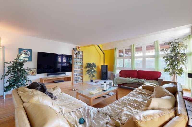 Sonniges 5.5-Zimmer-Doppeleinfamilienhaus im Grünen (2)